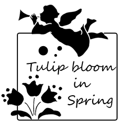 GWFV[Y tulip bloom in spring@NXXeb` }ā@t[`[g